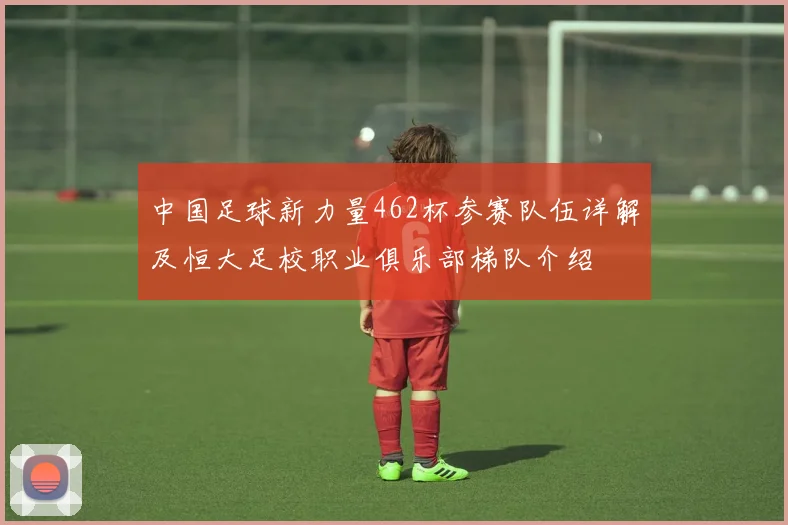 中国足球新力量462杯参赛队伍详解及恒大足校职业俱乐部梯队介绍